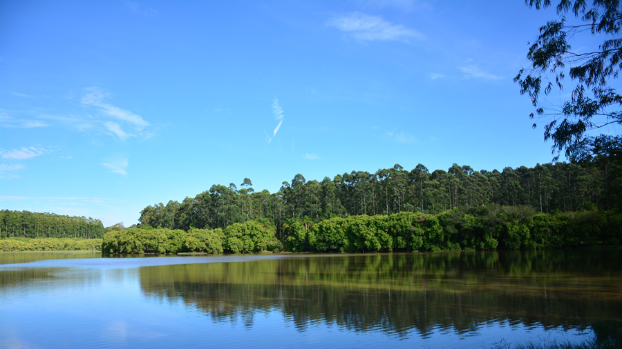 Imagem de um lago com, ao fundo, uma área de grama, plantas e uma floresta densa sob um céu azul claro e sem nuvens.