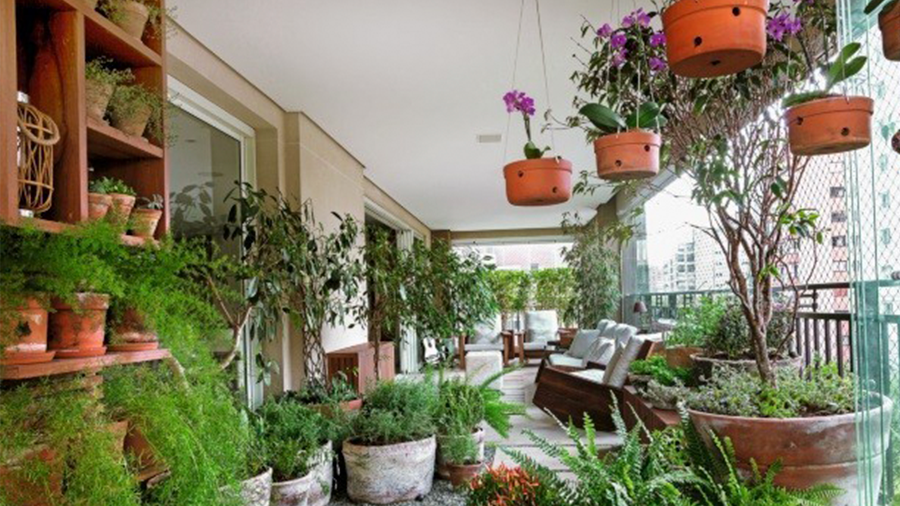 Fotografia de uma varanda com móveis e diversos vasos de árvores e plantas, no chão e no teto.