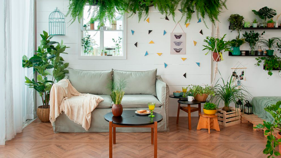 Uma sala com paredes brancas, piso de madeira, sofá verde e muitas plantas verdes em vasos no chão e penduradas na parede com alguns itens de decoração.