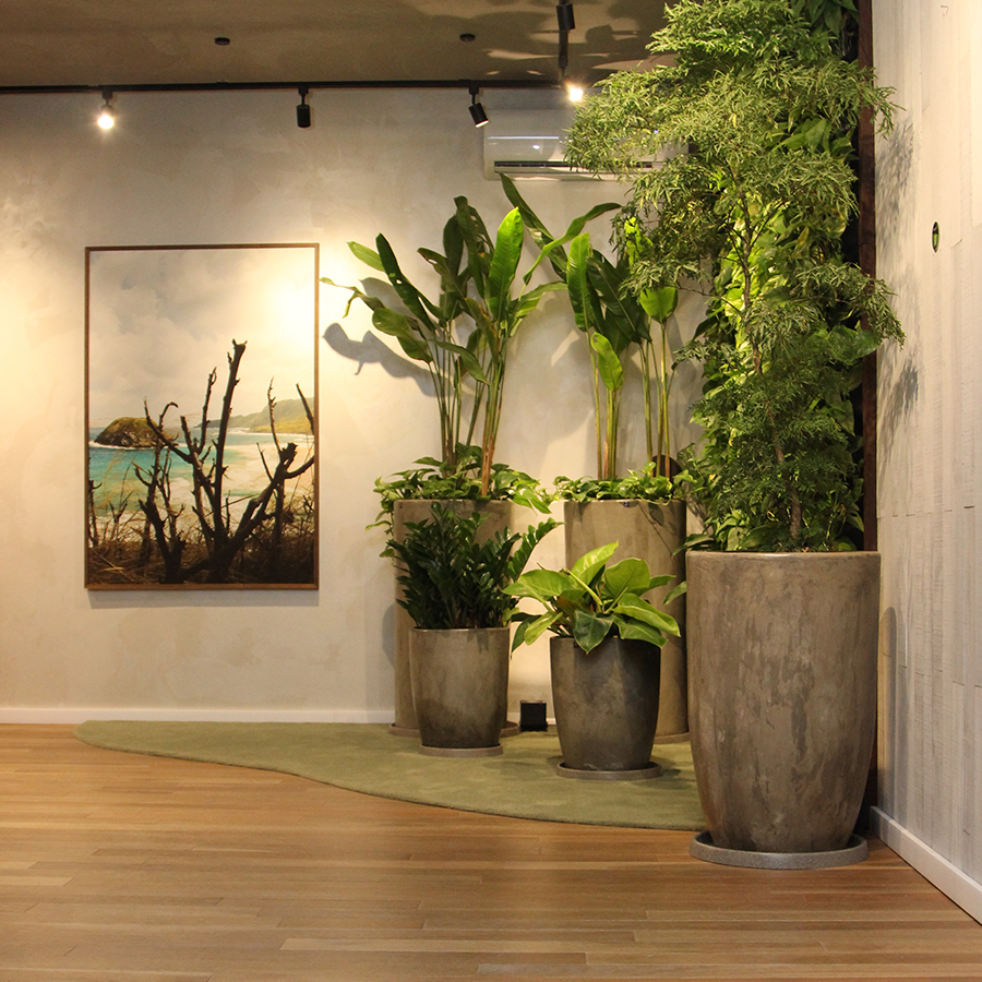 Fotografia de ambiente com piso de madeira, iluminação industrial, diversas plantas  e quadro de paisagem.