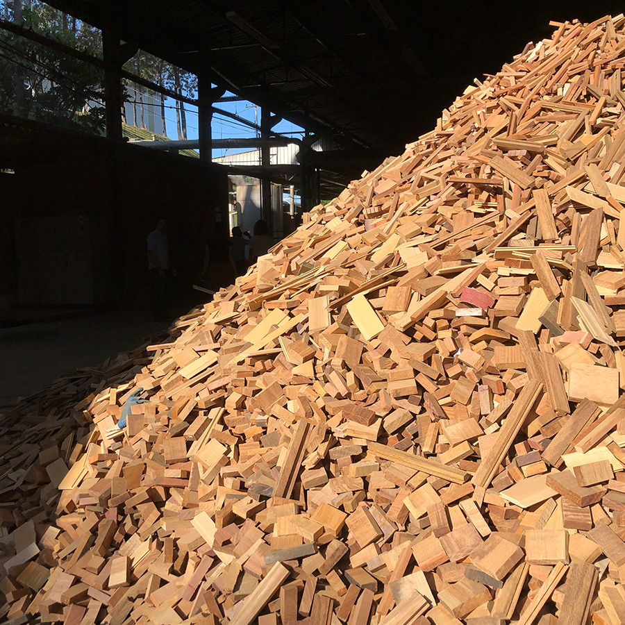 Fotografia de sobras de madeira que serão reaproveitadas para gerar energia para as estufas da fábrica.