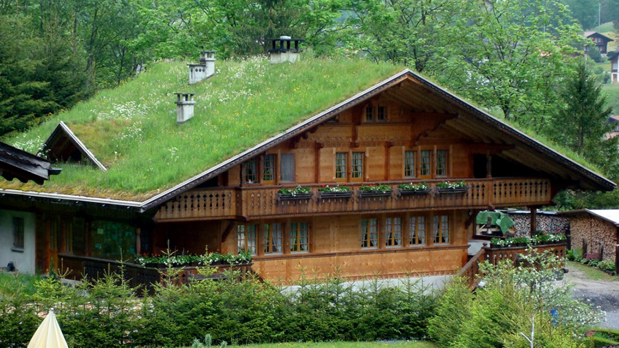 Fotografia de residência com telhado verde.