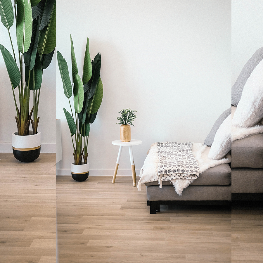 Fotografia de um espaço interno com paredes brancas, piso de madeira clara, sofá cinza, um banco de madeira e dois vasos de plantas.