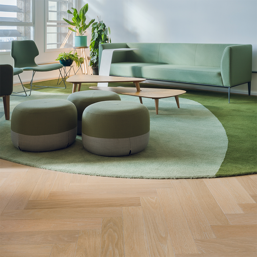 Fotografia de um ambiente interno com piso de madeira e móveis verdes.