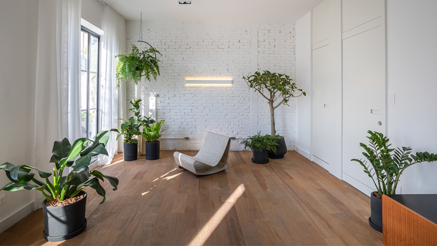 Loft com piso de madeira, parede de tijolinhos branco ao fundo e diversas plantas pelo ambiente