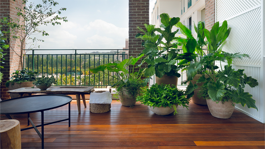 Imagem de uma varanda com deck de madeira Cumaru, vasos com plantas e banquinhos. Ao fundo, há grades de proteção que garantem a segurança do ambiente.