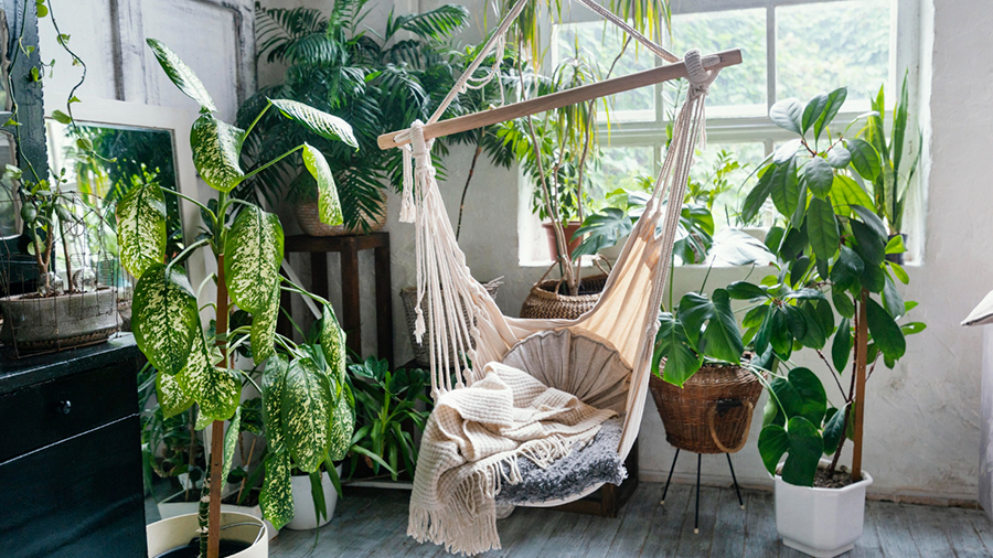 Área interna com um balanço coberto por uma manta, diversos vasos com diferentes tipos de plantas e janelas que permitem a entrada de luz natural no espaço.