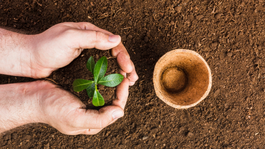 Imagem de uma pessoa segurando um punhado de terra com uma planta e, à frente, um copo com terra espalhada pelo chão.